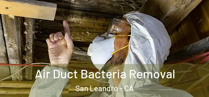 Air Duct Bacteria Removal San Leandro - CA