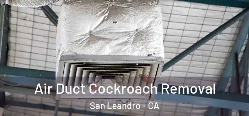 Air Duct Cockroach Removal San Leandro - CA