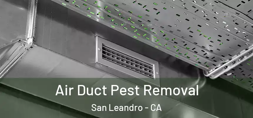 Air Duct Pest Removal San Leandro - CA