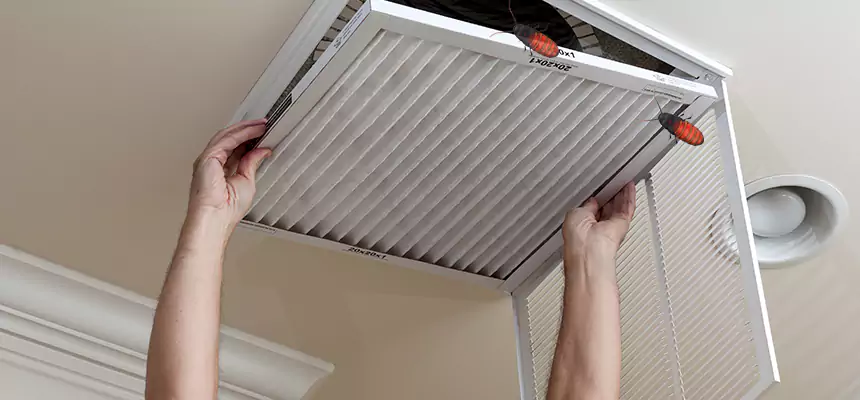 Preventive Cockroach-Proofing for Ducts in San Leandro
