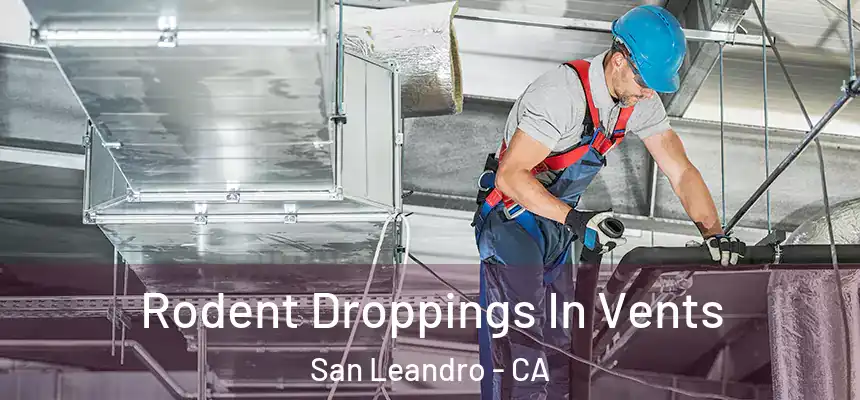  Rodent Droppings In Vents San Leandro - CA