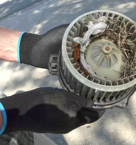 About Air Duct Rat Removal in San Leandro, CA