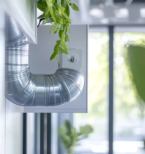 Professional Eco-Safe Dryer Vent Cleaning in San Leandro, CA