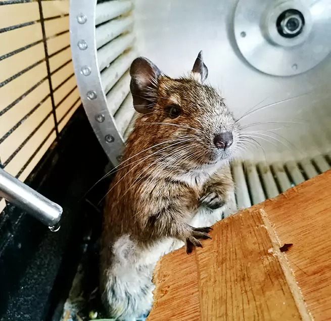 Why Homeowners & Businesses Trust Us San Leandro, CA